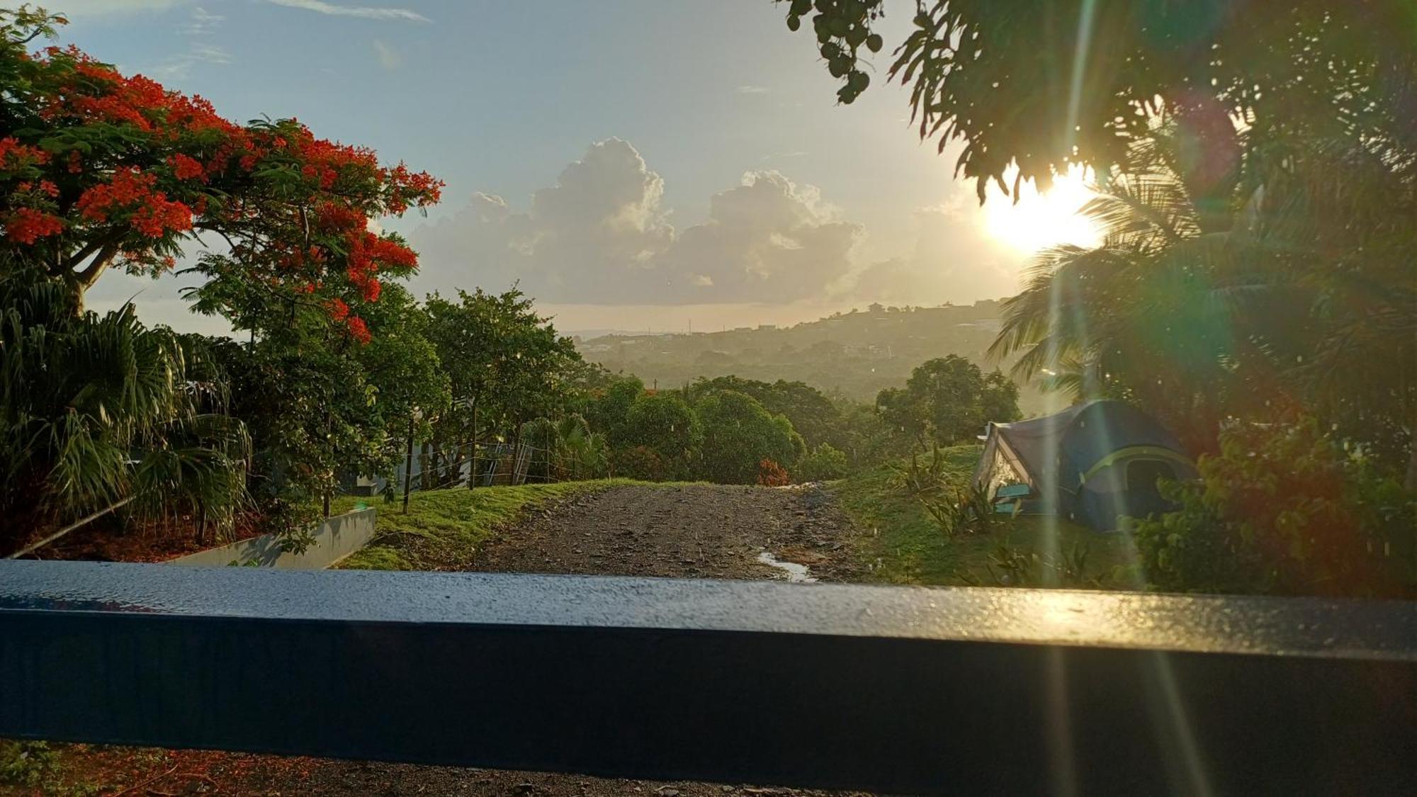 Rooster Run Glamping Camping Has Rooftop And Off The Ground Glamping Experience For 1 To 16 In A Single Tent And Views Of The Rain Forrest And To Culebra Across The Atlantic Ocean W Tents, Linens, Deluxe Air Beds, Warm Shower And More At A Great Pric Vieques Esterno foto