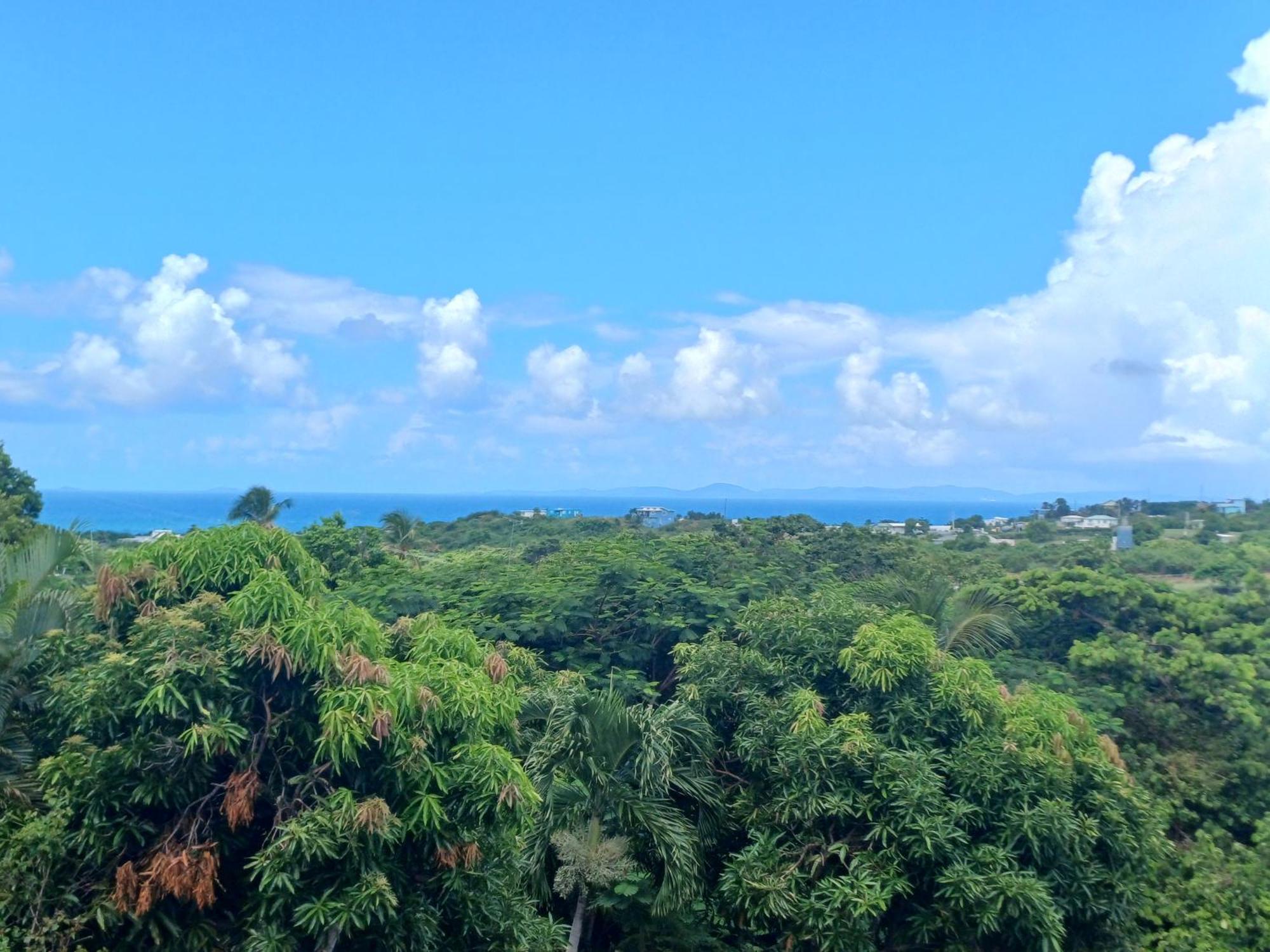 Rooster Run Glamping Camping Has Rooftop And Off The Ground Glamping Experience For 1 To 16 In A Single Tent And Views Of The Rain Forrest And To Culebra Across The Atlantic Ocean W Tents, Linens, Deluxe Air Beds, Warm Shower And More At A Great Pric Vieques Esterno foto
