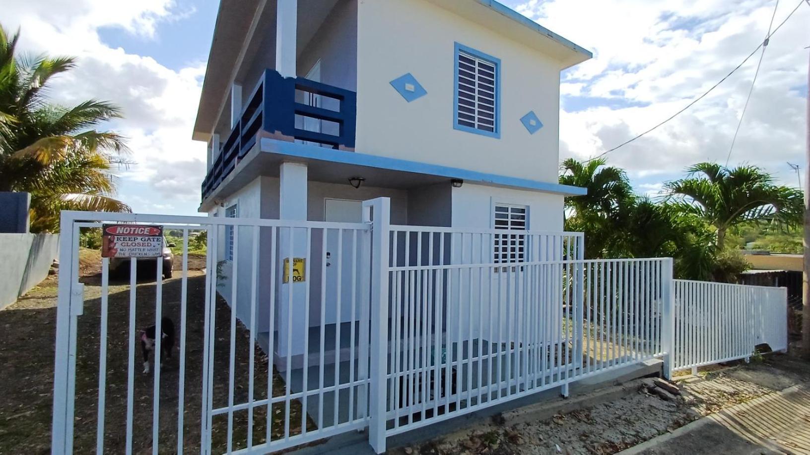 Rooster Run Glamping Camping Has Rooftop And Off The Ground Glamping Experience For 1 To 16 In A Single Tent And Views Of The Rain Forrest And To Culebra Across The Atlantic Ocean W Tents, Linens, Deluxe Air Beds, Warm Shower And More At A Great Pric Vieques Esterno foto
