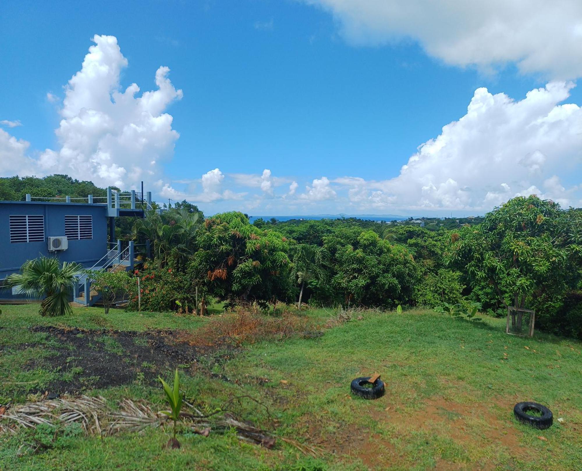 Rooster Run Glamping Camping Has Rooftop And Off The Ground Glamping Experience For 1 To 16 In A Single Tent And Views Of The Rain Forrest And To Culebra Across The Atlantic Ocean W Tents, Linens, Deluxe Air Beds, Warm Shower And More At A Great Pric Vieques Esterno foto