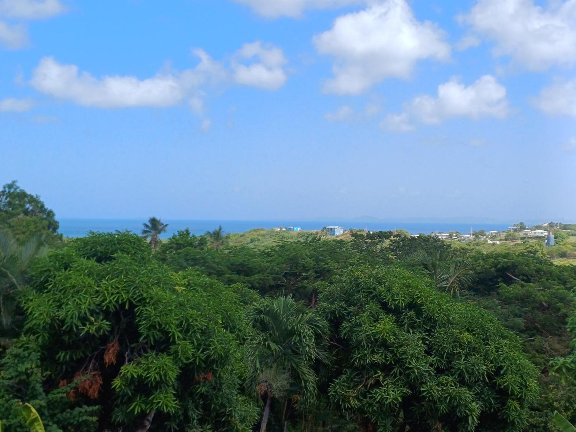 Rooster Run Glamping Camping Has Rooftop And Off The Ground Glamping Experience For 1 To 16 In A Single Tent And Views Of The Rain Forrest And To Culebra Across The Atlantic Ocean W Tents, Linens, Deluxe Air Beds, Warm Shower And More At A Great Pric Vieques Esterno foto
