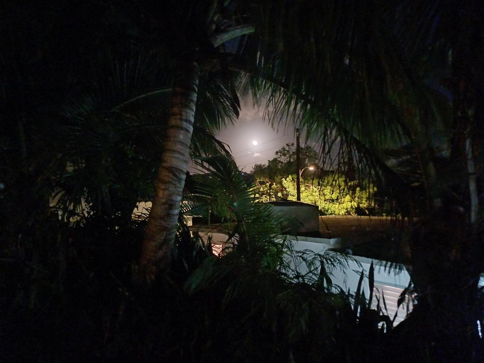 Rooster Run Glamping Camping Has Rooftop And Off The Ground Glamping Experience For 1 To 16 In A Single Tent And Views Of The Rain Forrest And To Culebra Across The Atlantic Ocean W Tents, Linens, Deluxe Air Beds, Warm Shower And More At A Great Pric Vieques Esterno foto