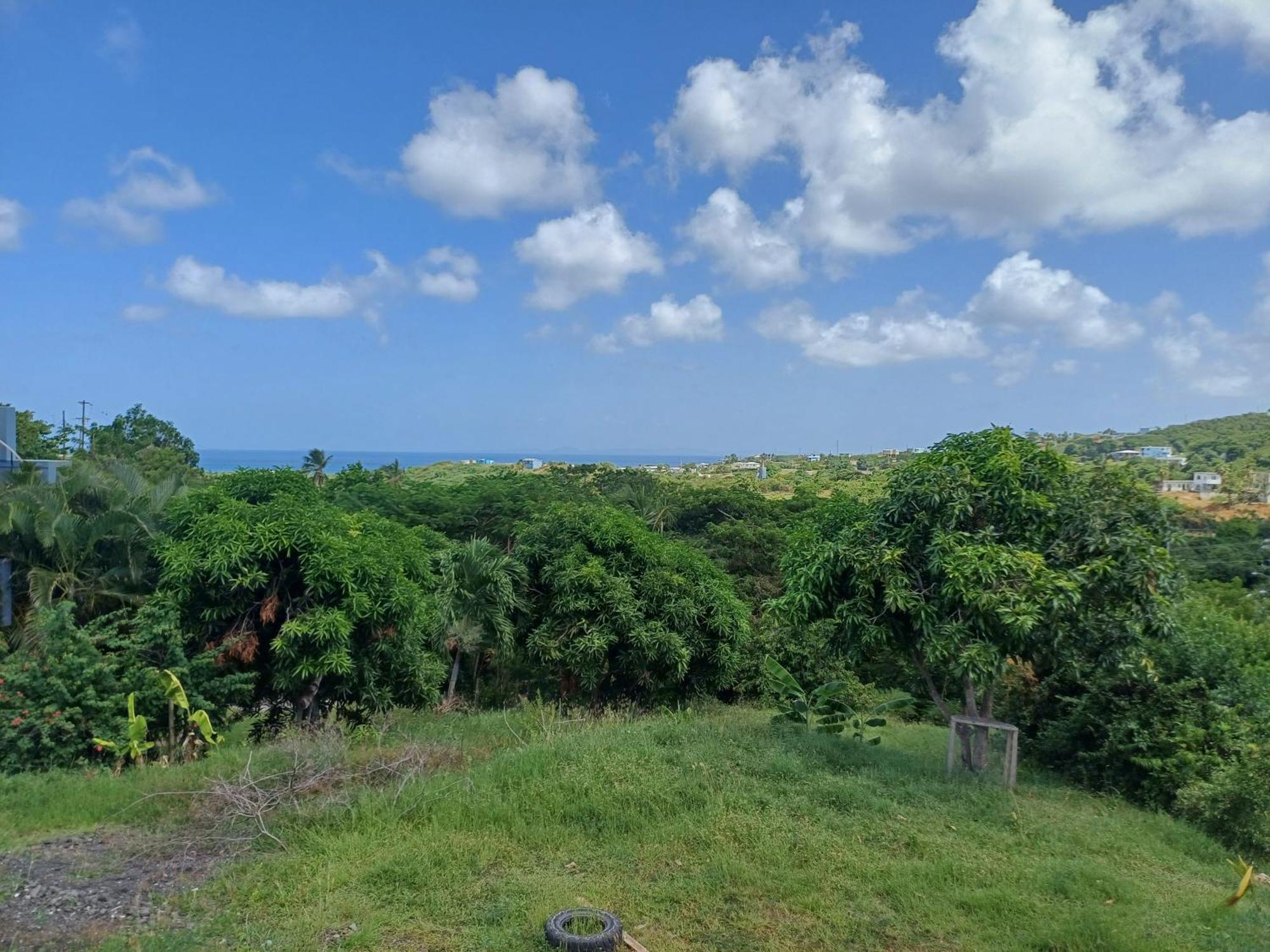 Rooster Run Glamping Camping Has Rooftop And Off The Ground Glamping Experience For 1 To 16 In A Single Tent And Views Of The Rain Forrest And To Culebra Across The Atlantic Ocean W Tents, Linens, Deluxe Air Beds, Warm Shower And More At A Great Pric Vieques Esterno foto
