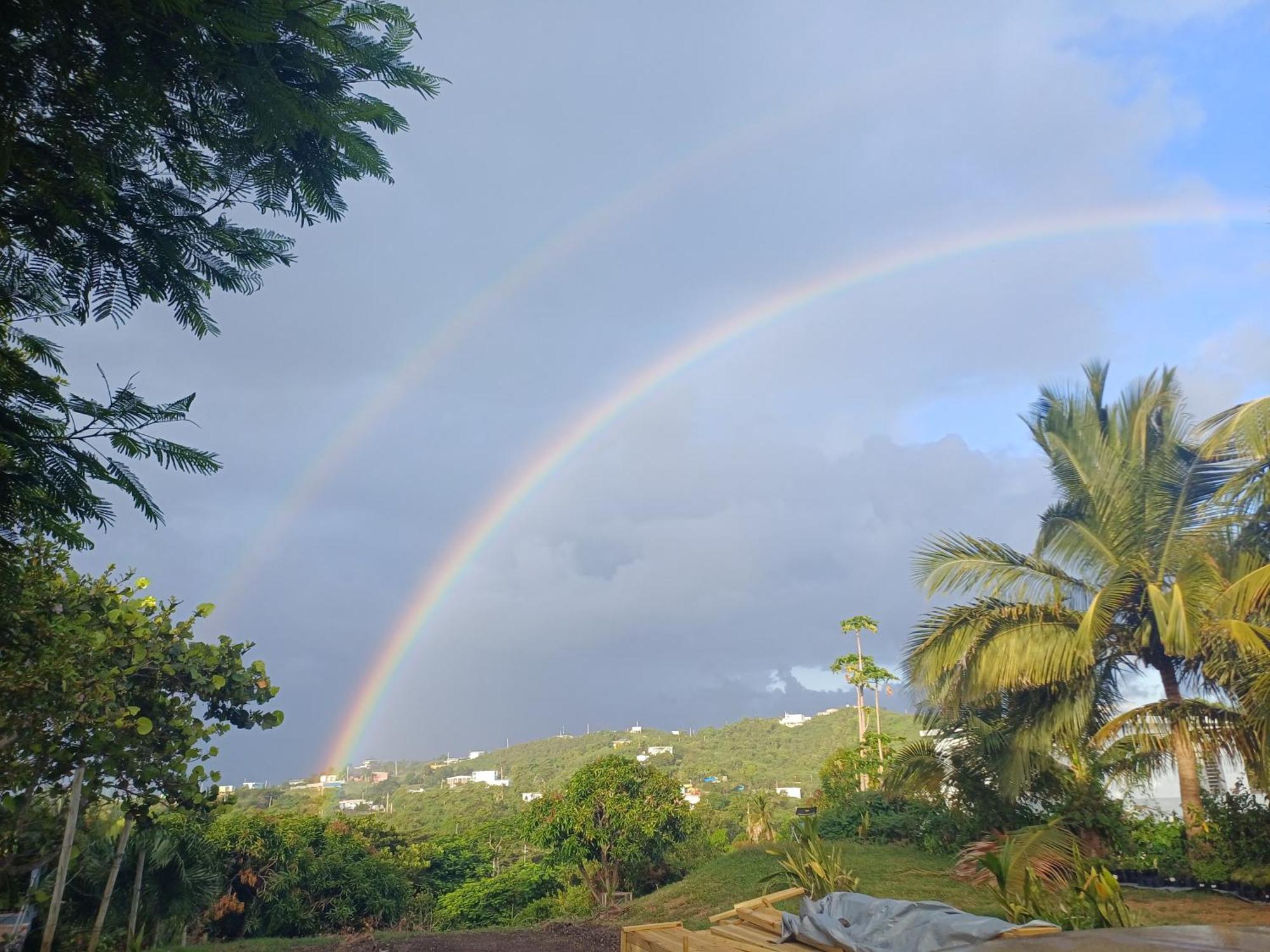 Rooster Run Glamping Camping Has Rooftop And Off The Ground Glamping Experience For 1 To 16 In A Single Tent And Views Of The Rain Forrest And To Culebra Across The Atlantic Ocean W Tents, Linens, Deluxe Air Beds, Warm Shower And More At A Great Pric Vieques Esterno foto