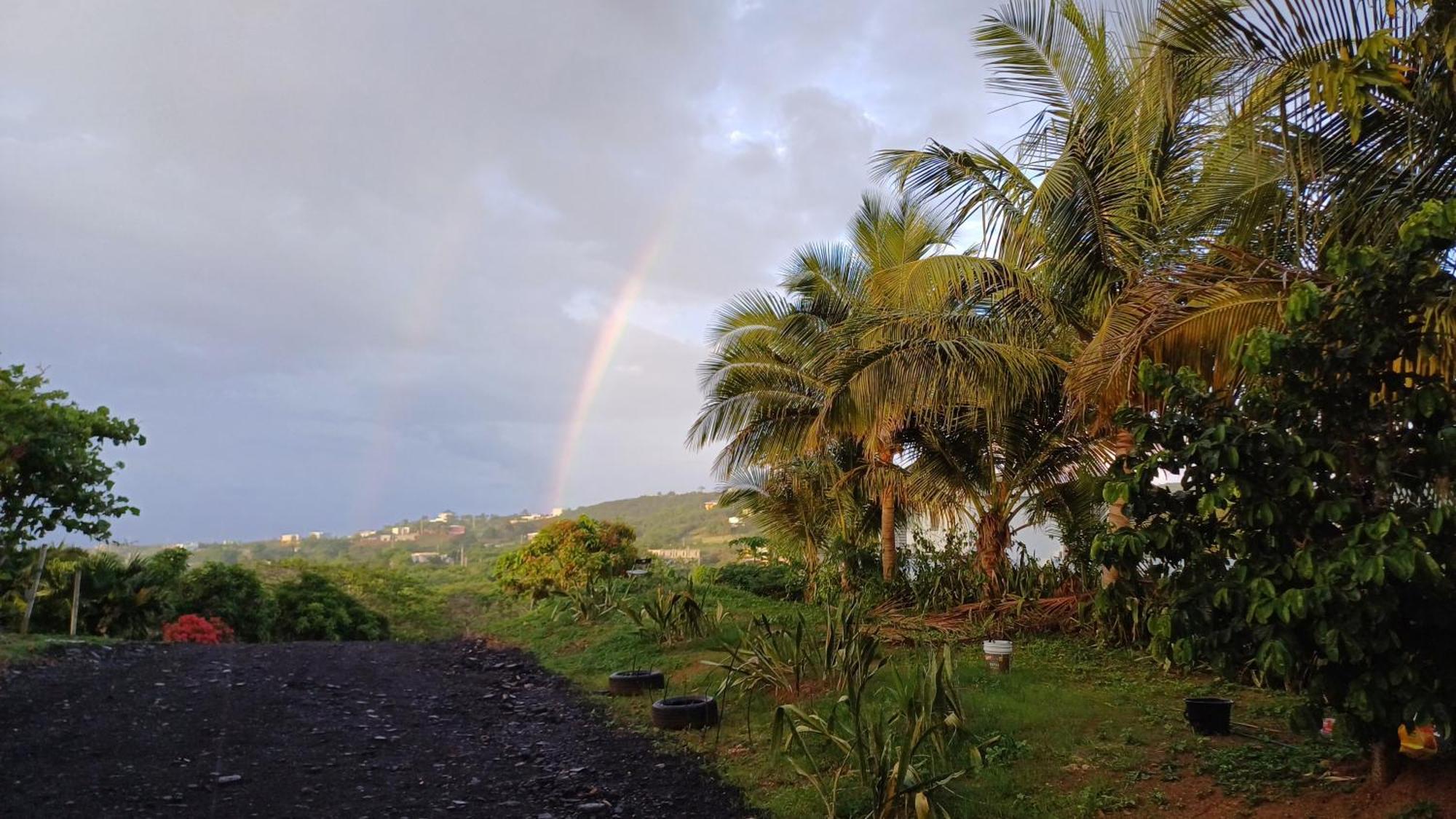 Rooster Run Glamping Camping Has Rooftop And Off The Ground Glamping Experience For 1 To 16 In A Single Tent And Views Of The Rain Forrest And To Culebra Across The Atlantic Ocean W Tents, Linens, Deluxe Air Beds, Warm Shower And More At A Great Pric Vieques Esterno foto