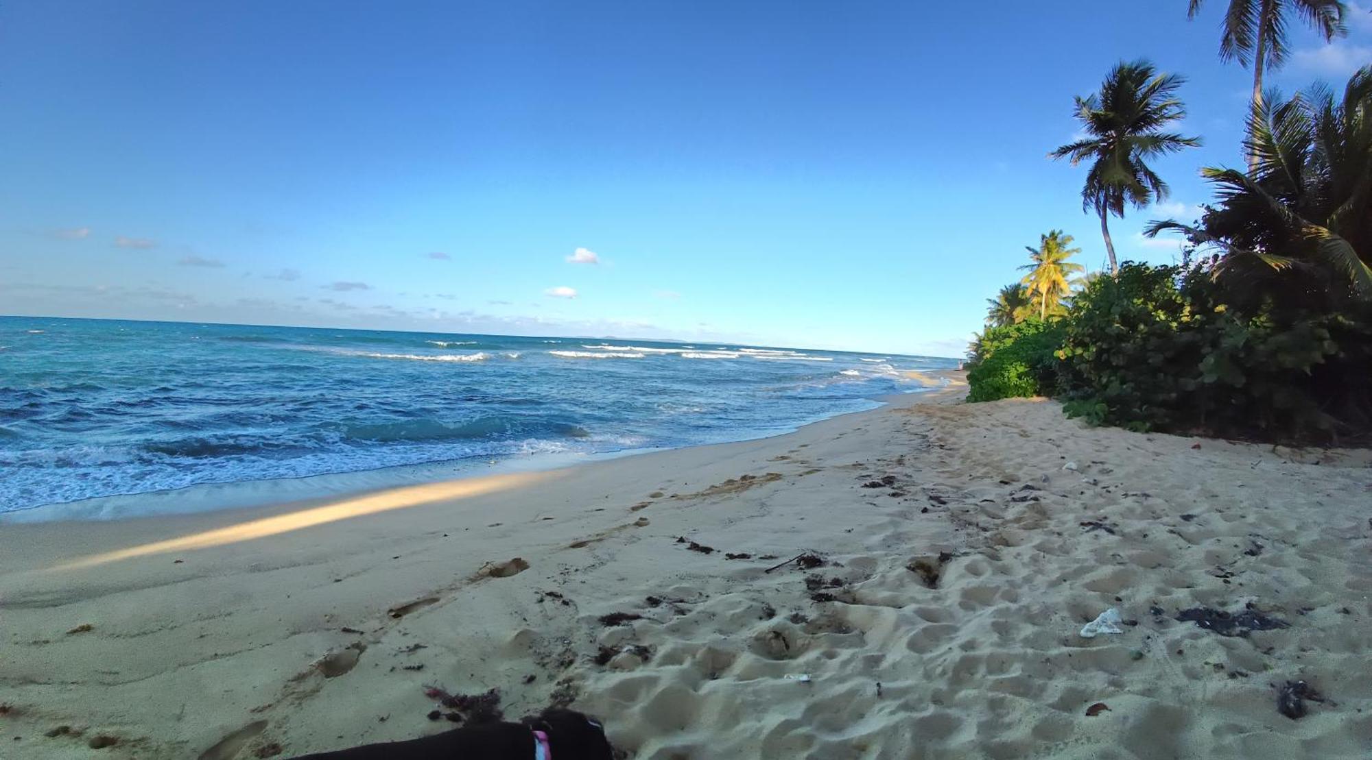 Rooster Run Glamping Camping Has Rooftop And Off The Ground Glamping Experience For 1 To 16 In A Single Tent And Views Of The Rain Forrest And To Culebra Across The Atlantic Ocean W Tents, Linens, Deluxe Air Beds, Warm Shower And More At A Great Pric Vieques Esterno foto