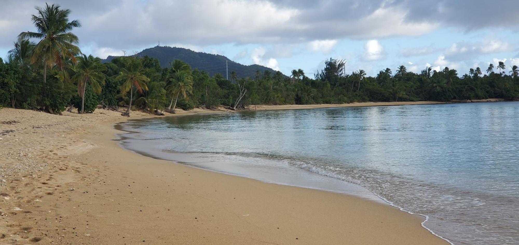 Rooster Run Glamping Camping Has Rooftop And Off The Ground Glamping Experience For 1 To 16 In A Single Tent And Views Of The Rain Forrest And To Culebra Across The Atlantic Ocean W Tents, Linens, Deluxe Air Beds, Warm Shower And More At A Great Pric Vieques Esterno foto