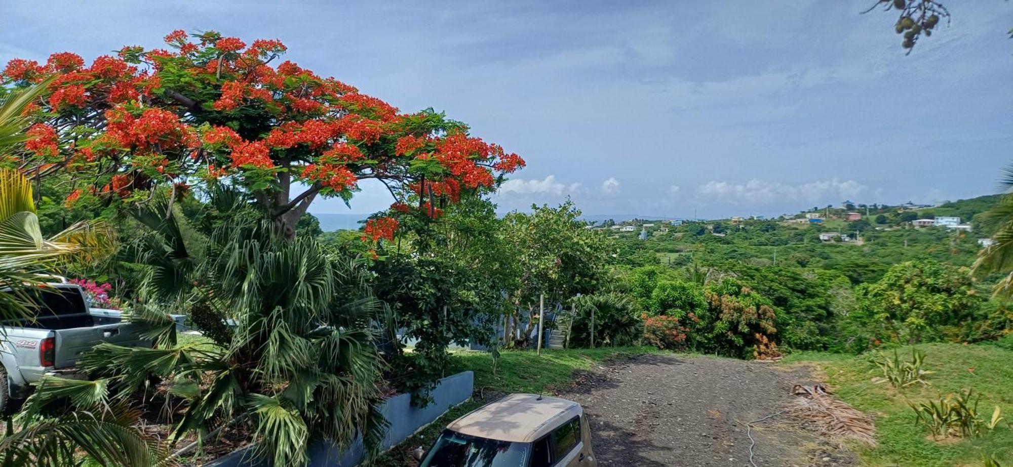 Rooster Run Glamping Camping Has Rooftop And Off The Ground Glamping Experience For 1 To 16 In A Single Tent And Views Of The Rain Forrest And To Culebra Across The Atlantic Ocean W Tents, Linens, Deluxe Air Beds, Warm Shower And More At A Great Pric Vieques Esterno foto
