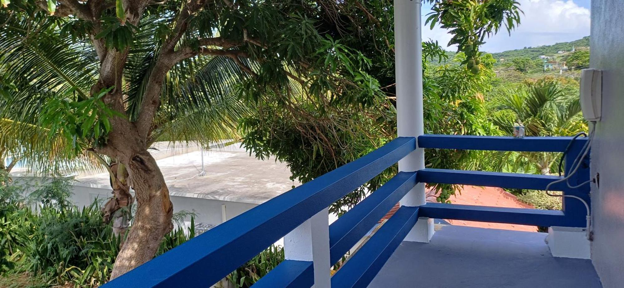 Rooster Run Glamping Camping Has Rooftop And Off The Ground Glamping Experience For 1 To 16 In A Single Tent And Views Of The Rain Forrest And To Culebra Across The Atlantic Ocean W Tents, Linens, Deluxe Air Beds, Warm Shower And More At A Great Pric Vieques Esterno foto