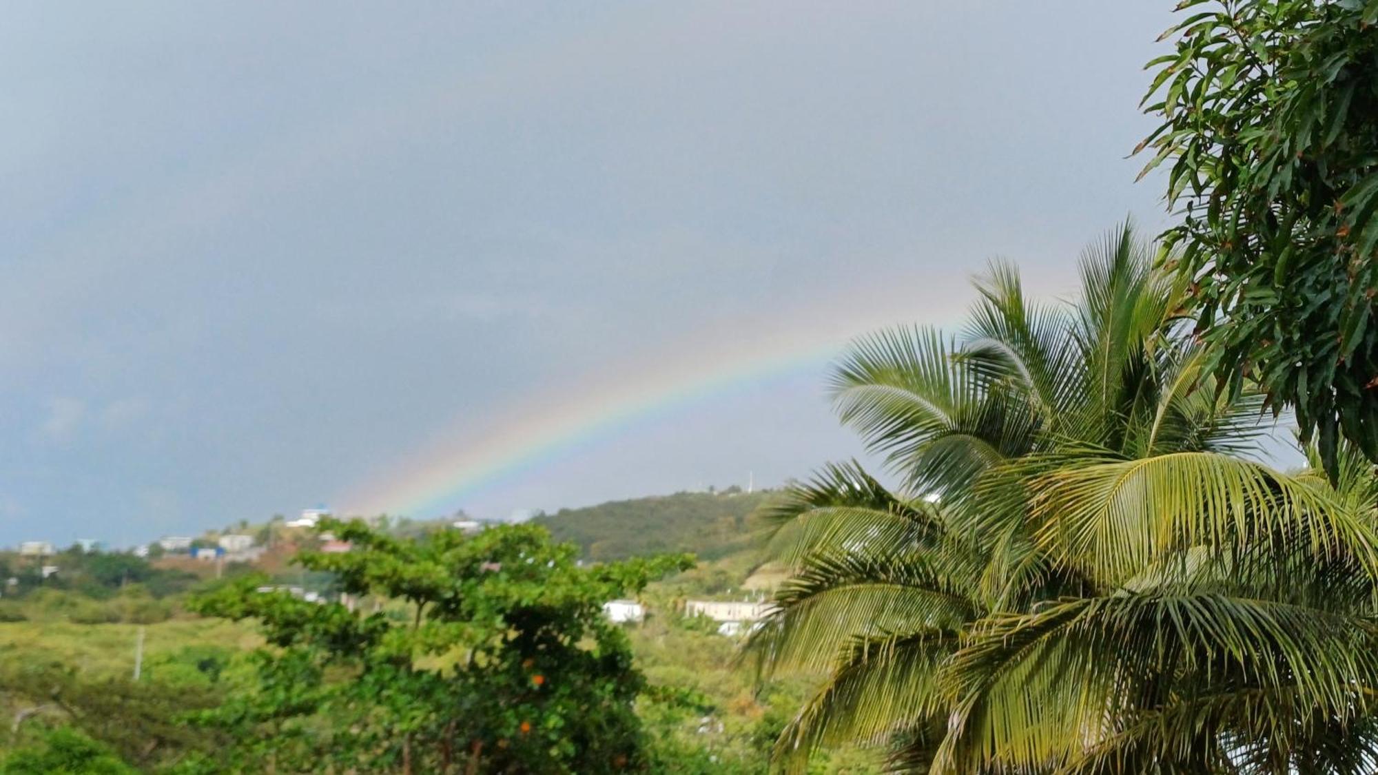 Rooster Run Glamping Camping Has Rooftop And Off The Ground Glamping Experience For 1 To 16 In A Single Tent And Views Of The Rain Forrest And To Culebra Across The Atlantic Ocean W Tents, Linens, Deluxe Air Beds, Warm Shower And More At A Great Pric Vieques Esterno foto