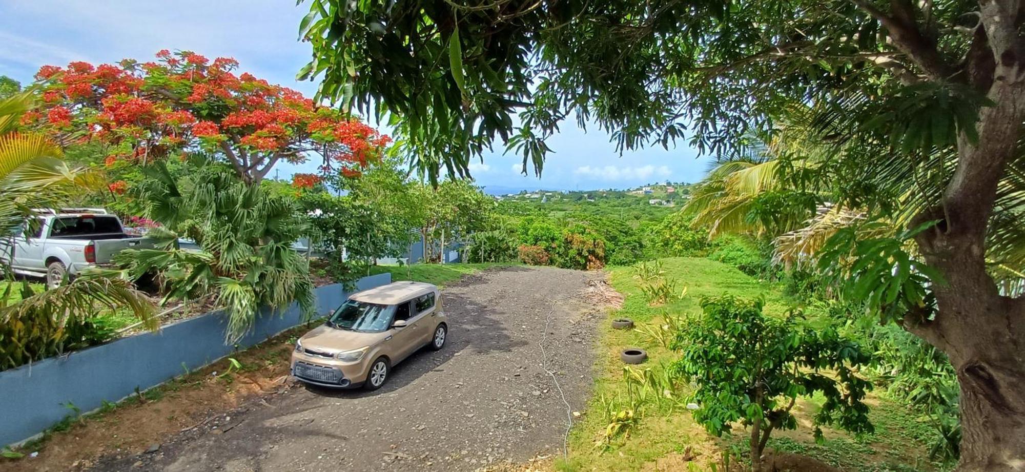 Rooster Run Glamping Camping Has Rooftop And Off The Ground Glamping Experience For 1 To 16 In A Single Tent And Views Of The Rain Forrest And To Culebra Across The Atlantic Ocean W Tents, Linens, Deluxe Air Beds, Warm Shower And More At A Great Pric Vieques Esterno foto