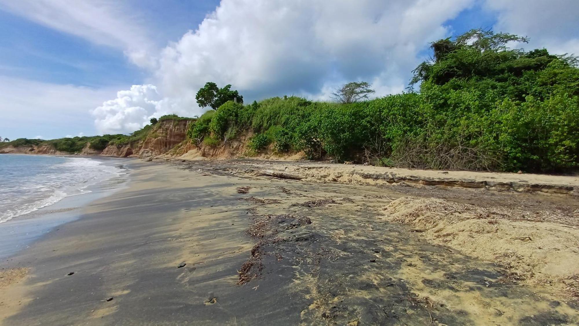 Rooster Run Glamping Camping Has Rooftop And Off The Ground Glamping Experience For 1 To 16 In A Single Tent And Views Of The Rain Forrest And To Culebra Across The Atlantic Ocean W Tents, Linens, Deluxe Air Beds, Warm Shower And More At A Great Pric Vieques Esterno foto