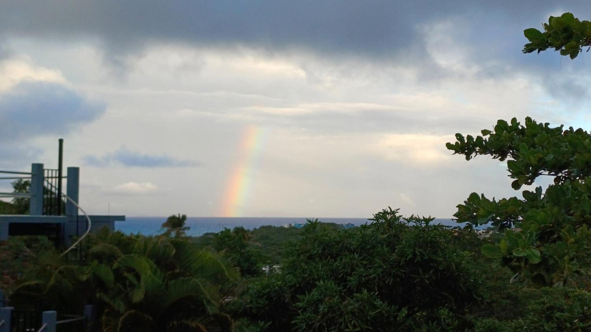 Rooster Run Glamping Camping Has Rooftop And Off The Ground Glamping Experience For 1 To 16 In A Single Tent And Views Of The Rain Forrest And To Culebra Across The Atlantic Ocean W Tents, Linens, Deluxe Air Beds, Warm Shower And More At A Great Pric Vieques Esterno foto