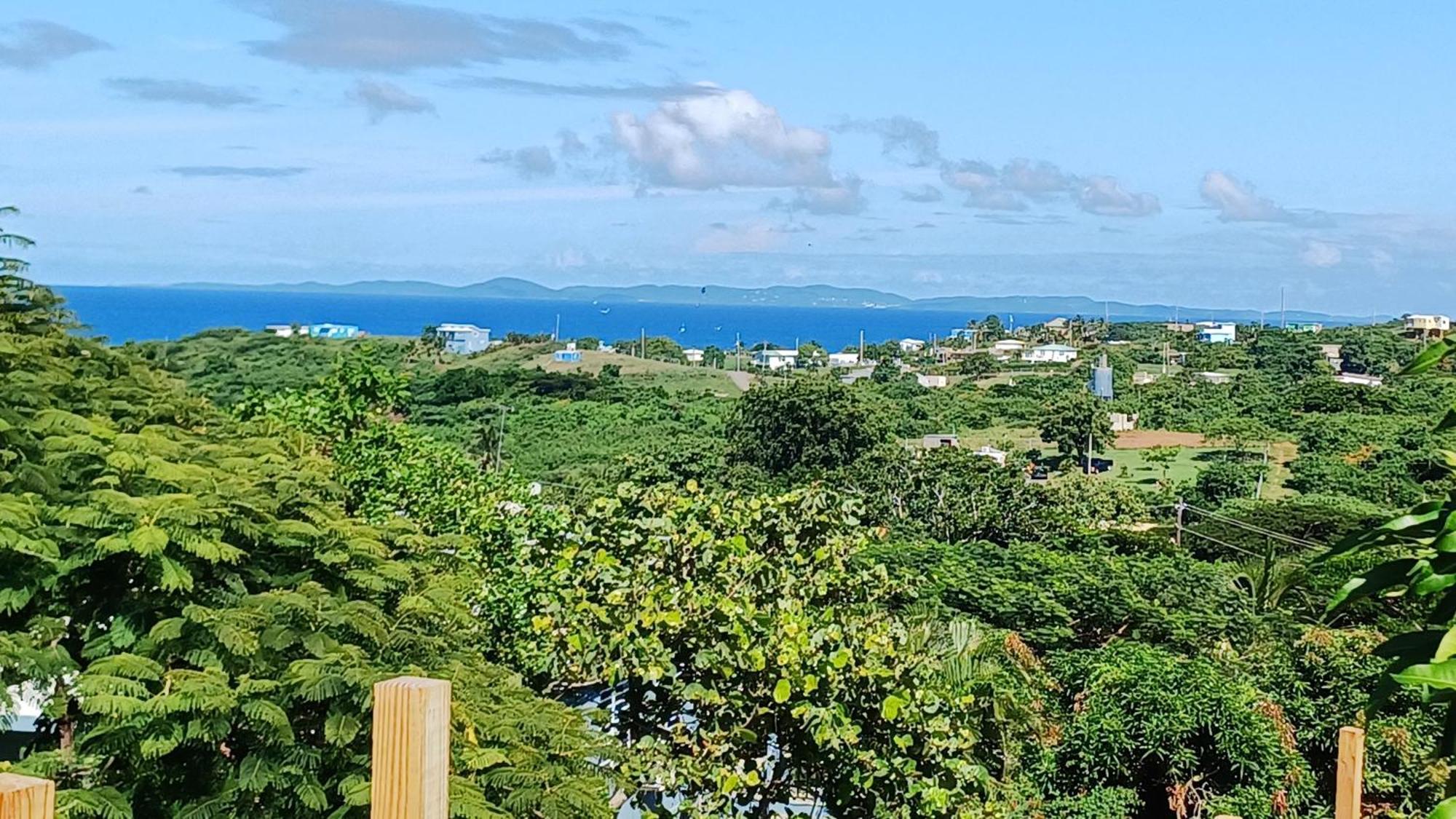 Rooster Run Glamping Camping Has Rooftop And Off The Ground Glamping Experience For 1 To 16 In A Single Tent And Views Of The Rain Forrest And To Culebra Across The Atlantic Ocean W Tents, Linens, Deluxe Air Beds, Warm Shower And More At A Great Pric Vieques Esterno foto